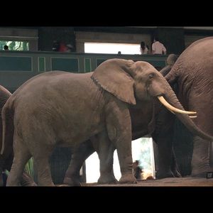 Meet your Posher, Nicole